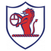 https://img.syhxln.com/img/football/team/11fb72f7b5eacfc881ee11bac75871fa.png