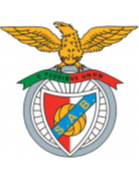 https://img.syhxln.com/img/football/team/13d8d22b32e0803f939082416da63541.png