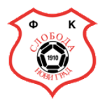 https://img.syhxln.com/img/football/team/b71b7bfab3d42c691e953977143504e5.png