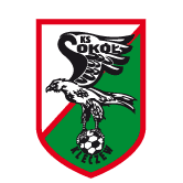 https://img.syhxln.com/img/football/team/e6a8908dd206e2ea02d9803c82c60bba.png